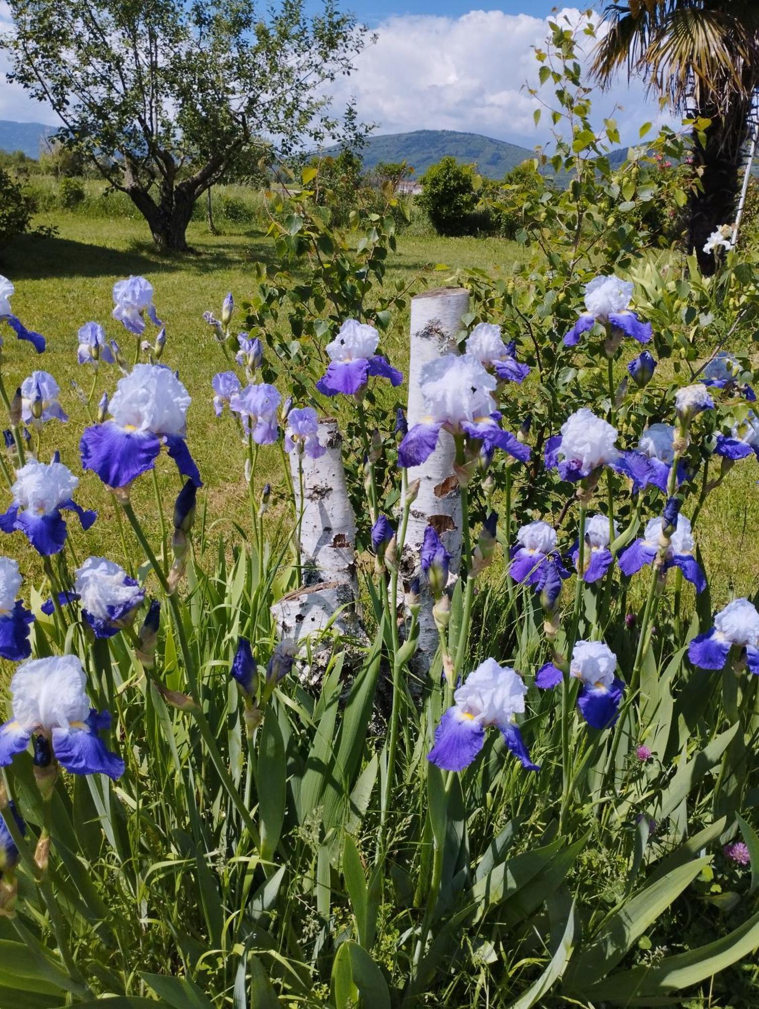 La Verdine Vérin 외부 사진